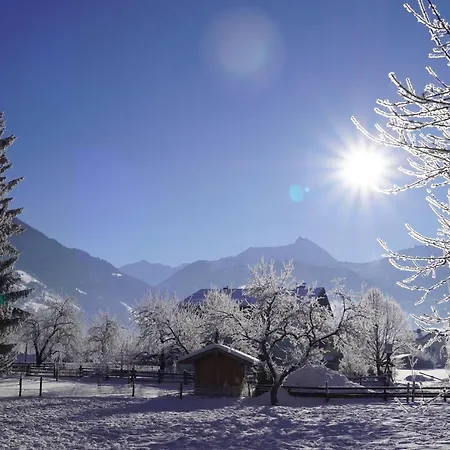 Haus Schwaiger Lejlighed *
