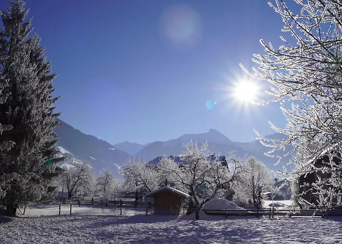 Haus Schwaiger Daire *