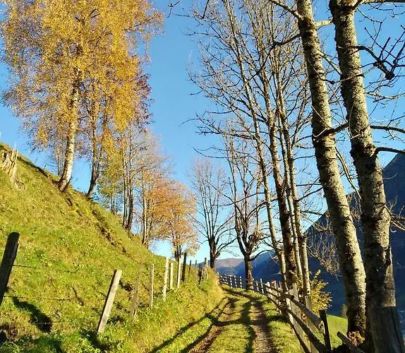 Daire Haus Schwaiger